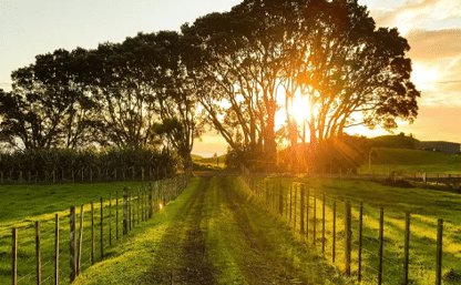 project_overview_img